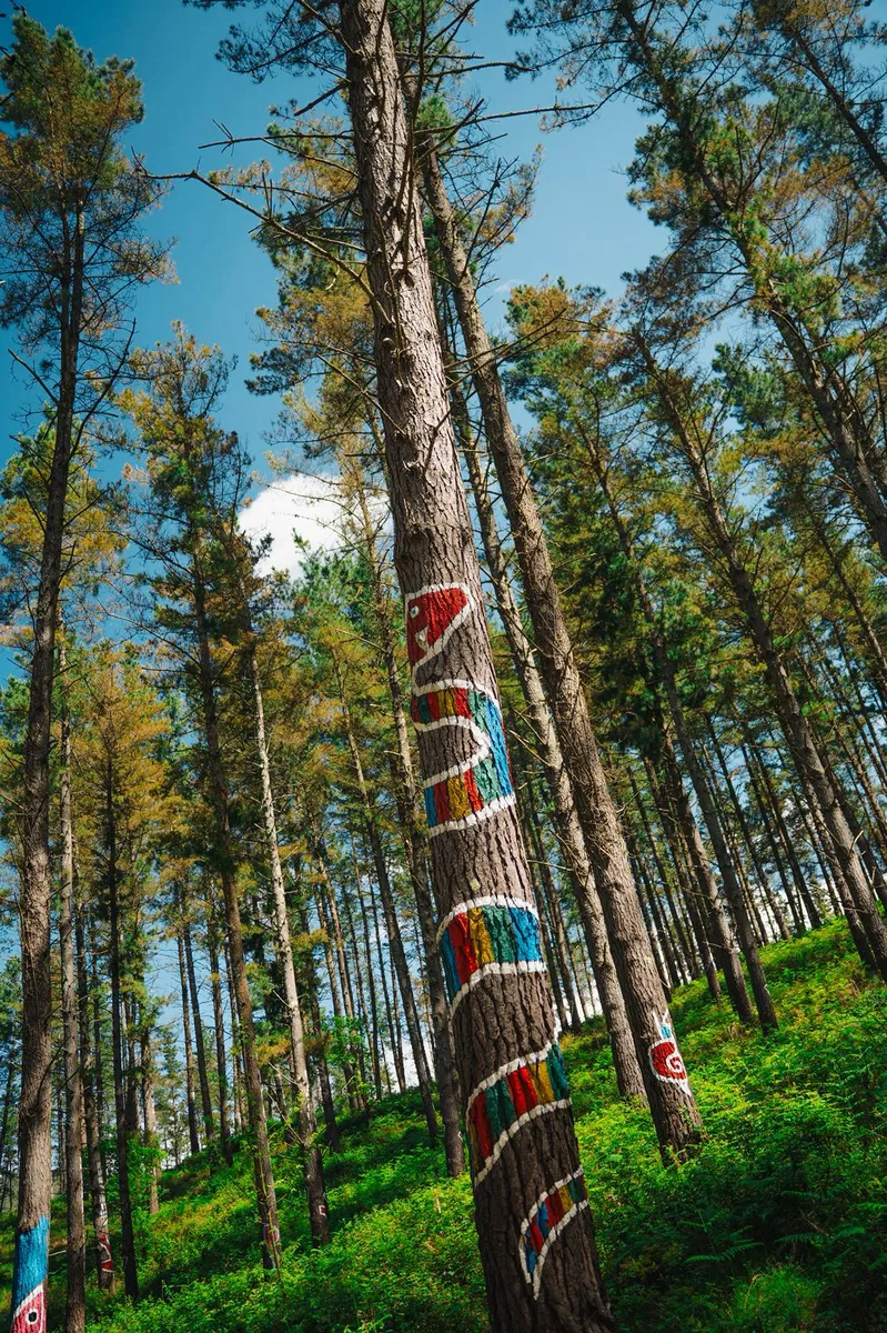 Nature Background